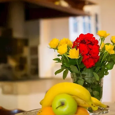 Tia Guest house Veli Losinj