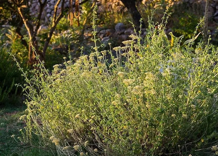 Tia Casa de hóspedes